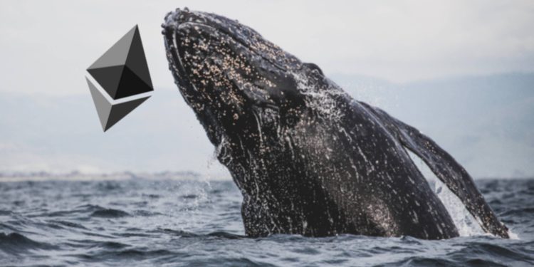 以太坊创世ICO巨鲸转出14.5万枚ETH 竟都兑换了新币CANTO